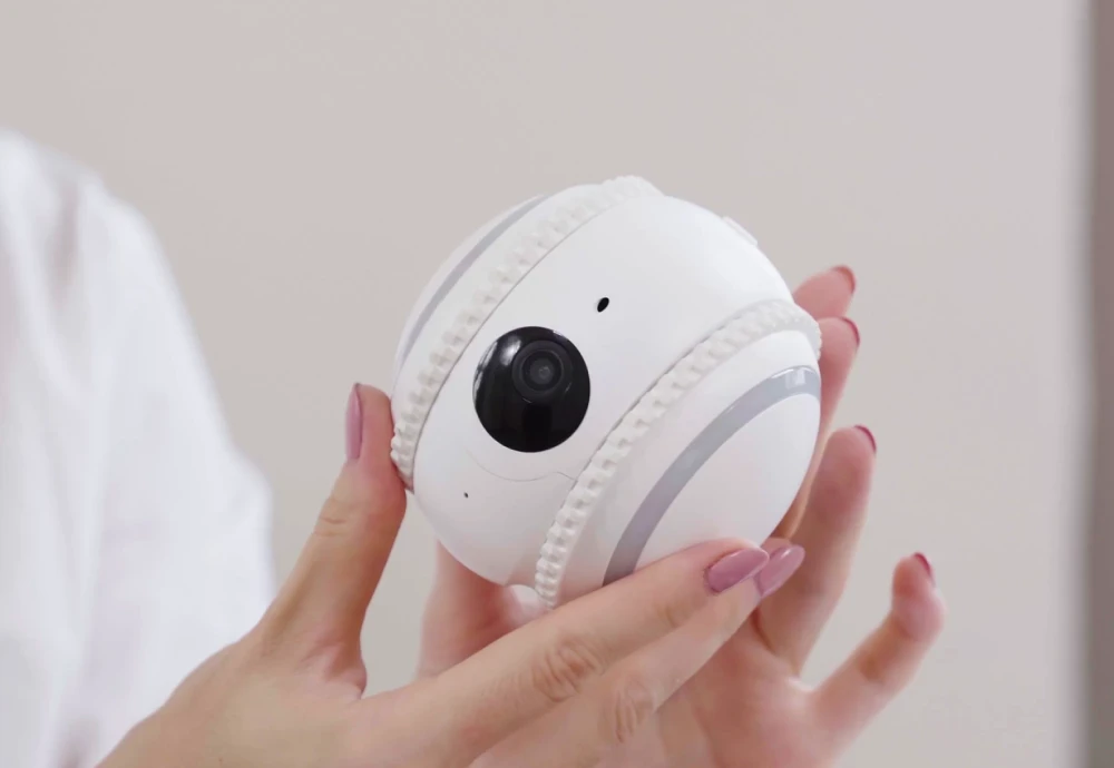 best camera for watching pets